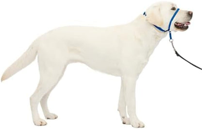 PetSafe Gentle Leader No Pull Dog Headcollar, Royal Blue by PetSafe