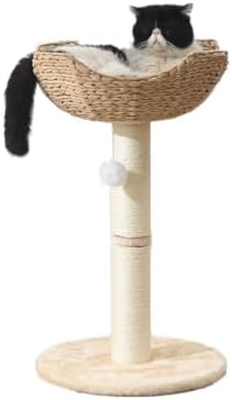 SHENGOCASE Small Cat Tree Tower by SHENGOCASE