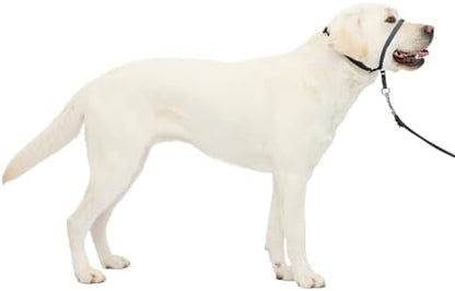 PetSafe Gentle Leader No-Pull Dog Headcollar by PetSafe