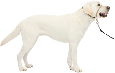 PetSafe Gentle Leader No Pull Dog Headcollar by PetSafe