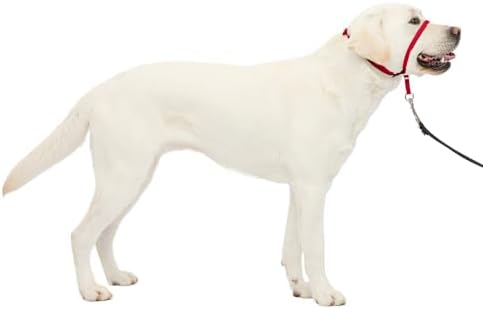 PetSafe Gentle Leader Headcollar No-Pull Dog Collar by PetSafe