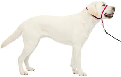 PetSafe Gentle Leader No Pull Dog Headcollar, Raspberry Pink by PetSafe