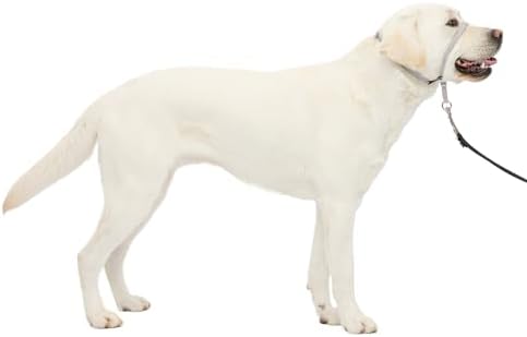 PetSafe Gentle Leader No Pull Dog Headcollar by PetSafe