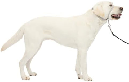 PetSafe Gentle Leader No Pull Dog Headcollar by PetSafe
