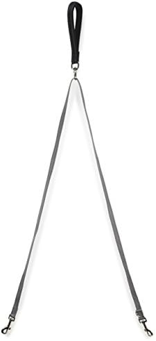 PetSafe Two Point Control Dog Leash, 3/4 in by PetSafe