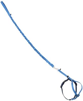 PetSafe Come with Me Kitty Harness and Bungee Cat Leash, Royal Blue by PetSafe