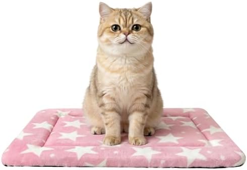 Cat & Dog Bed Mat by Unknown