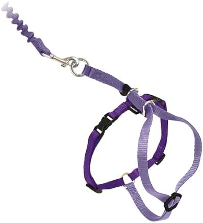 PetSafe Come With Me Kitty Harness and Bungee Leash, Harness by PetSafe