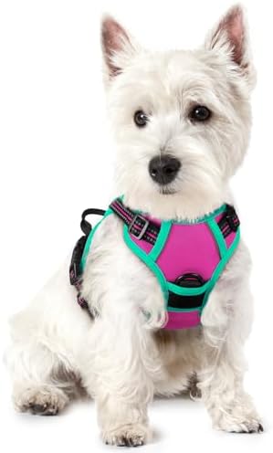 rabbitgoo Dog Harness, No Pull for Small Dogs by rabbitgoo