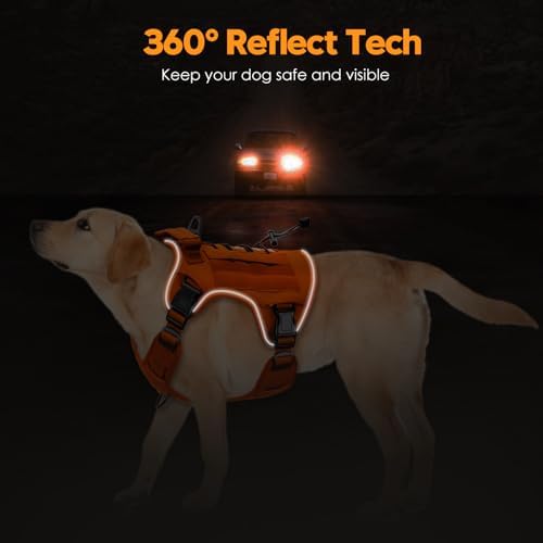 Heavy-Duty Tactical Dog Harness - Image 5