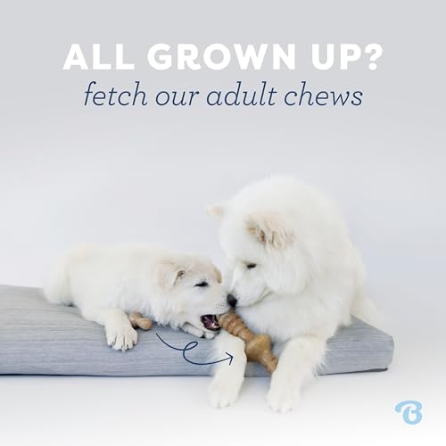Benebone Puppy Wishbone Dog Chew Toy - Image 5