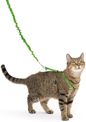 PetSafe Come with Me Kitty Harness and Bungee Leash by PetSafe