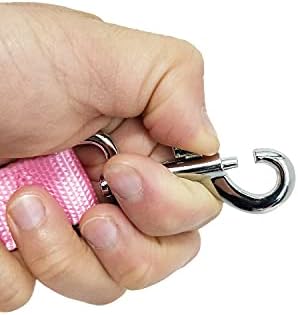 Nylon Dog Training Leash, Traction Rope, 4/5/6 Feet Long, 3/4 Inch 1 Inch Wide - Image 4