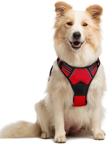 rabbitgoo Dog Harness, No Pull Medium Sized by rabbitgoo