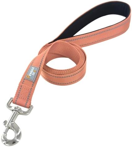 6 FT Basic Dog Leash for Small Dogs - Image 3