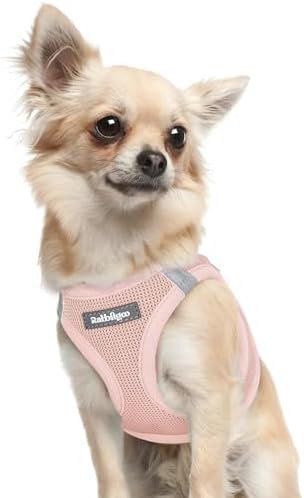 rabbitgoo Step-in Small Dog Harness, Puppy Vest by rabbitgoo