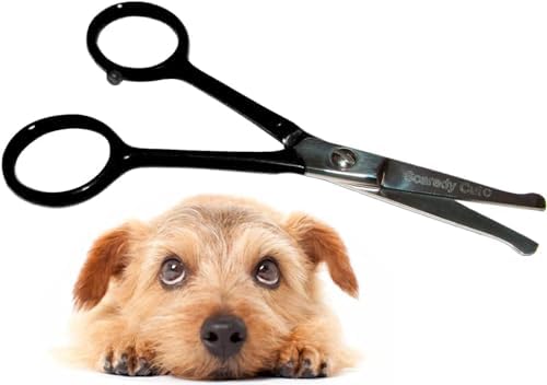 Tiny Trim 4.5" Ball-Tipped Scissor by ScaredyCut