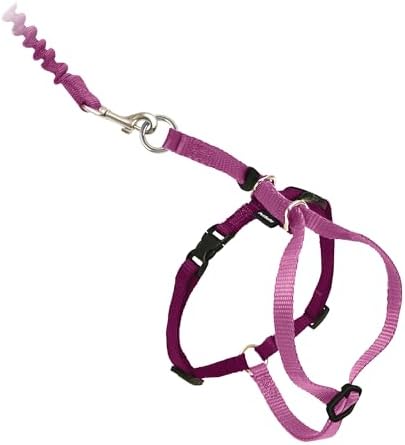 PetSafe Come with Me Kitty Harness and Bungee Cat Leash, Dusty Rose by PetSafe
