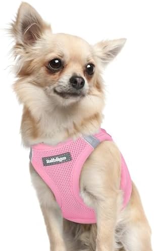 rabbitgoo Step-in Small Dog Harness, Puppy Vest by rabbitgoo