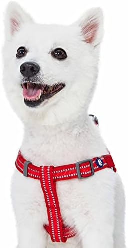 Blueberry Pet Essentials Step-in Reflective Back to Basics Dog Harness - Image 3