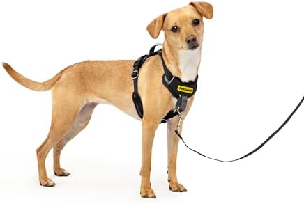 PetSafe Easy Walk Comfort No Pull Dog Harness, Extra Small by PetSafe