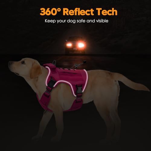 Heavy-Duty Tactical Dog Harness - Image 5