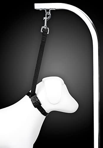 Country Brook Petz­ - Image 2