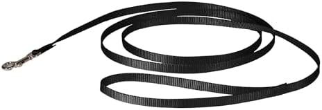 PetSafe Nylon Dog Leash by PetSafe