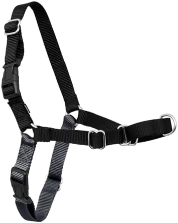 PetSafe Easy Walk Harness, No Pull Dog Harness, Charcoal Gray, Medium/Large by PetSafe