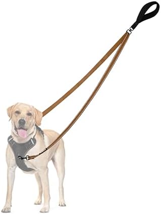 PetBonus Two Point Control Dog Leash, No Tangle Training Walking Leashes by Petbonus