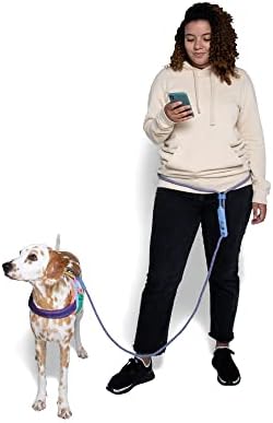 Andromeda 4-in-1 Hands-Free Dog Leash – Adjustable - Image 3