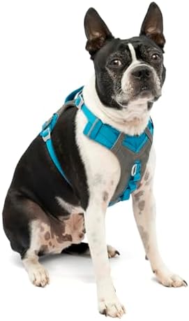 Kurgo Journey Air Dog Harness by Kurgo