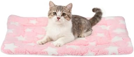 Dog Cat Bed Mat, Soft Coral Fleece Pet Cushion Pad by Unknown