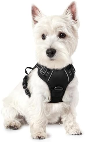 rabbitgoo Dog Harness, No Pull for Small Dogs by rabbitgoo