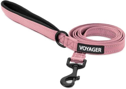 Best Pet Supplies Voyager Nylon Dog Leash by BestPetSuppliesLLC