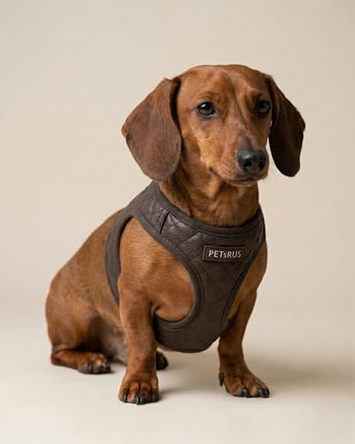 Step in Dog Harness, Lightweight Breathable Mesh Soft Padded Pet Vest, Vegan - Image 5