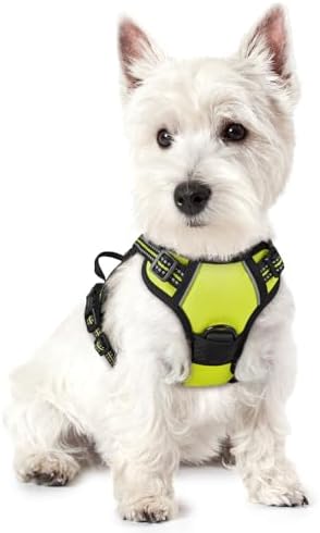 rabbitgoo Dog Harness No Pull by rabbitgoo