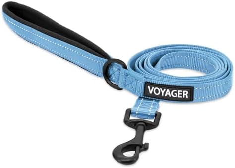 Best Pet Supplies Voyager Nylon Dog Leash by BestPetSuppliesLLC