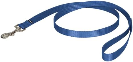 PetSafe Nylon Dog Leash by PetSafe