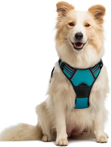 rabbitgoo Dog Harness, No Pull Medium Sized by rabbitgoo