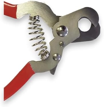 DreamCut Professional Pet Nail Clippers and Trimmer - Image 3