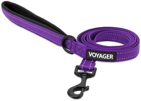 Best Pet Supplies Voyager Nylon Dog Leash by BestPetSuppliesLLC