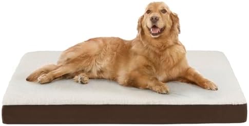 Friends Forever Orthopedic Dog Bed, Cooling Dog Beds by FriendsForever