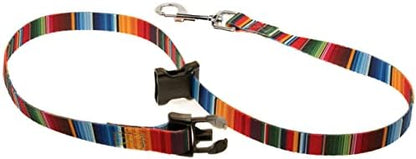 Country Brook Petz - Image 2