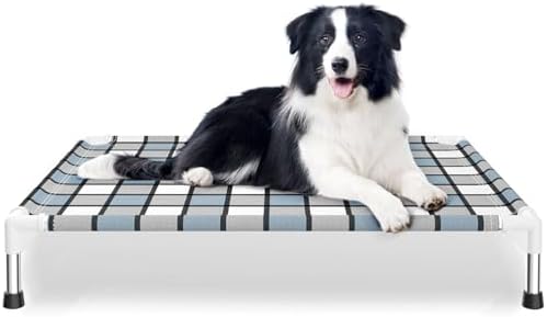 Caghash Elevated Outdoor Raised Dog Bed, Lifted Dog Cot by Unknown