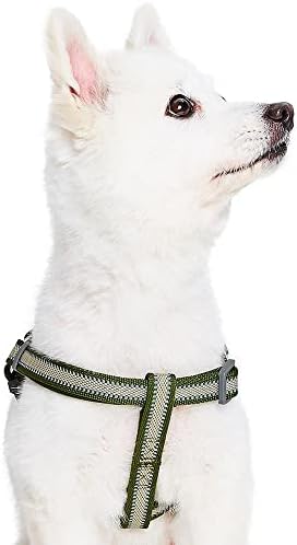 Blueberry Pet Essentials Step-in Reflective Back to Basics Dog Harness - Image 3