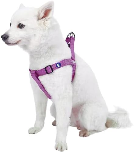 Blueberry Pet Essentials Step-in Dog Harness, Small Size | Adjustable Violet by BlueberryPet