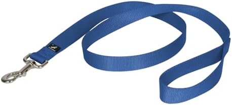 PetSafe Nylon Dog Leash by PetSafe