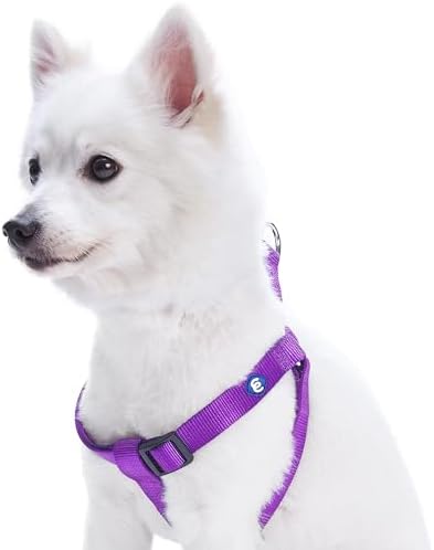 Blueberry Pet Essentials Step-in Dog Harness, Large Size | Adjustable Dark by BlueberryPet