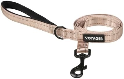 Best Pet Supplies Voyager Nylon Dog Leash by BestPetSuppliesLLC